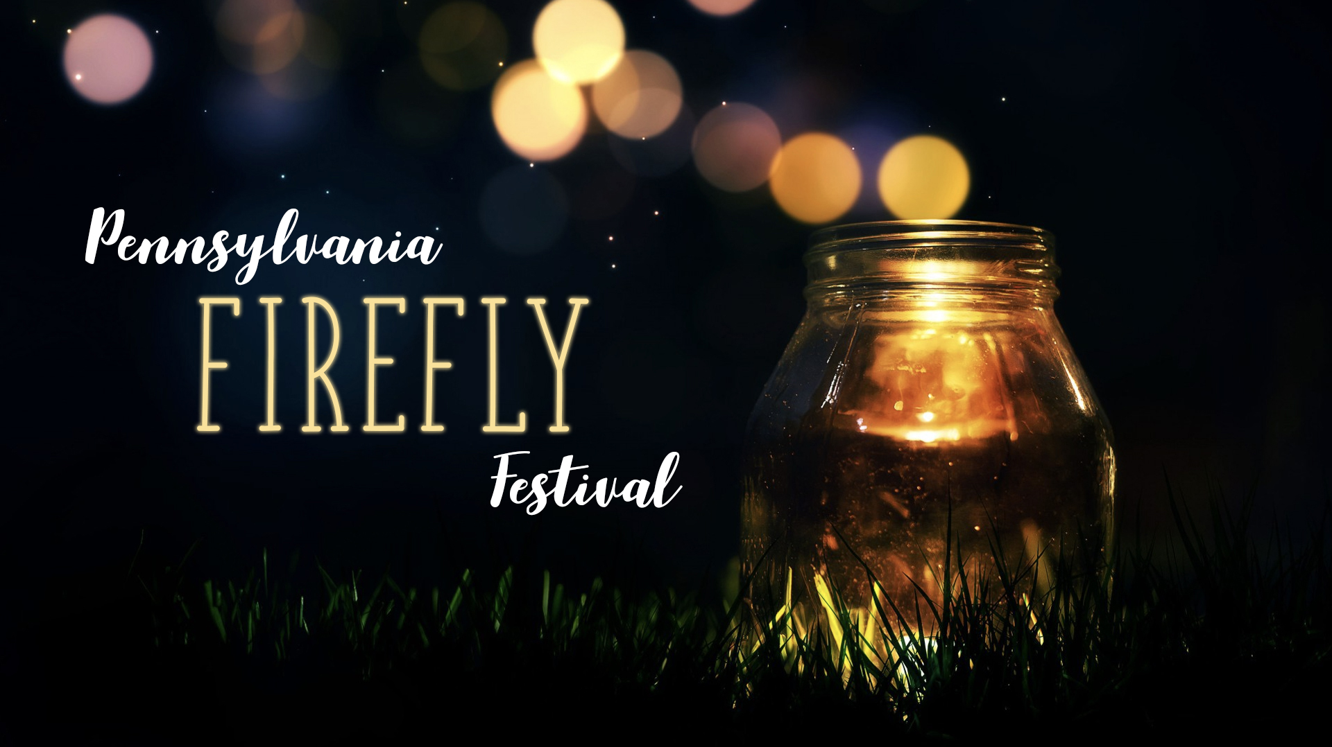 Pennsylvania Firefly Festival